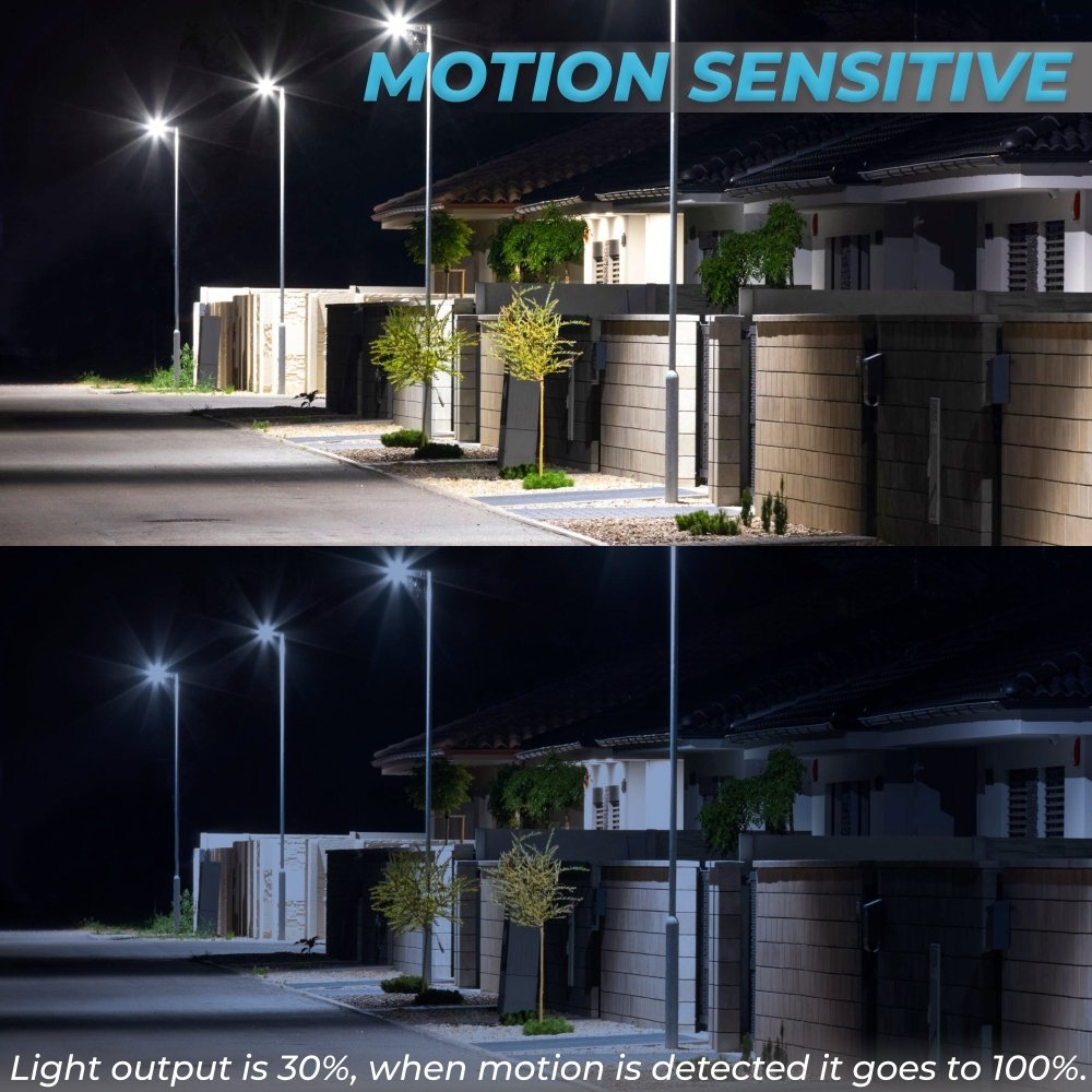 60W Solar Street Light (6000 Lumen) - Endurance Lights